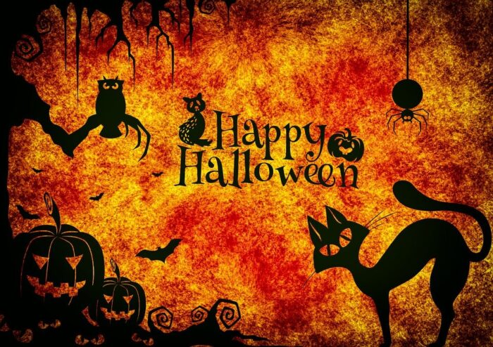 Pacchetto Animazione TEMA HALLOWEEN