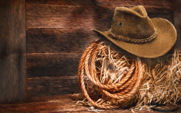 Pacchetto Animazione TEMA COWBOY
