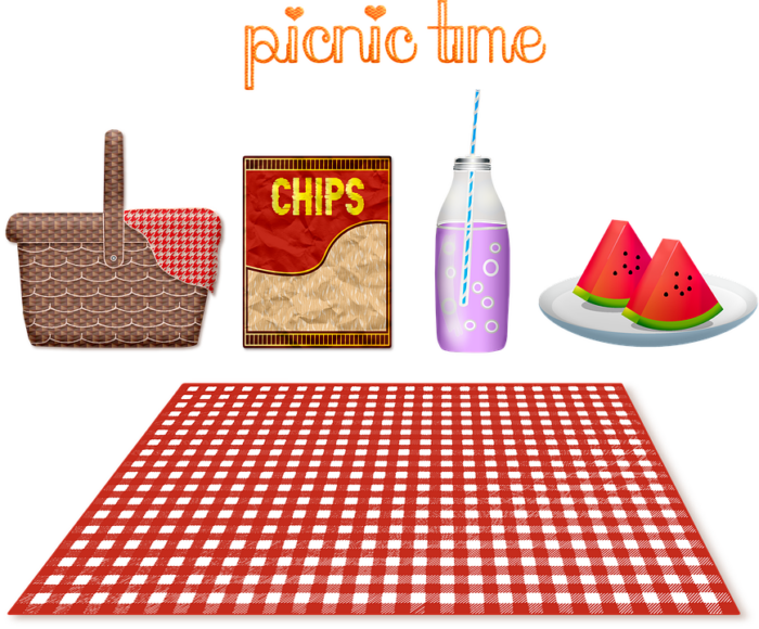 Pacchetto Animazione TEMA PICNIC